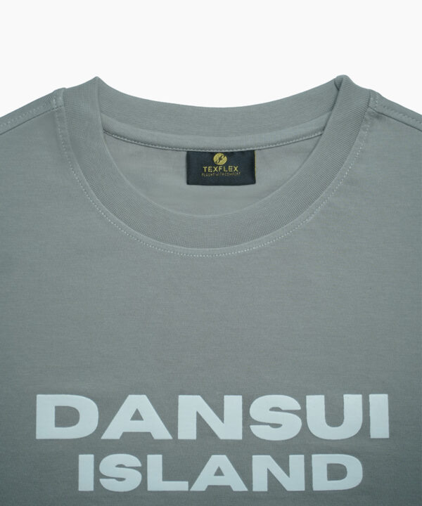 DANSUI2