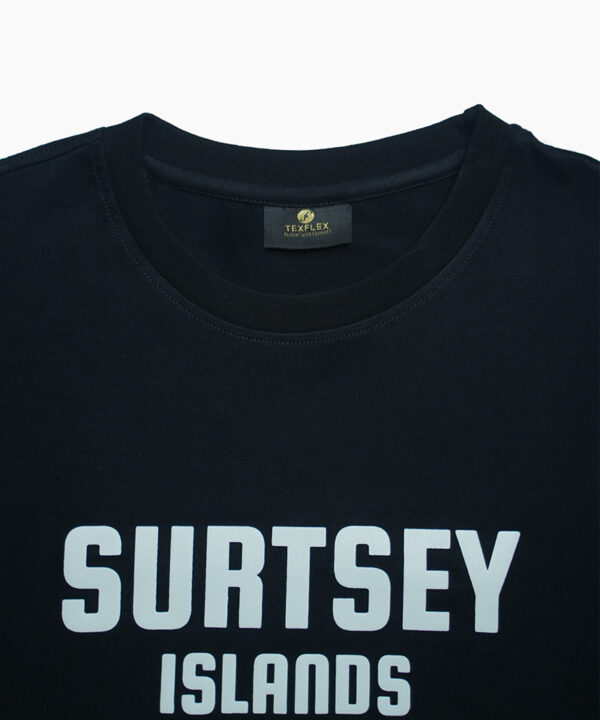 SURTSEY2